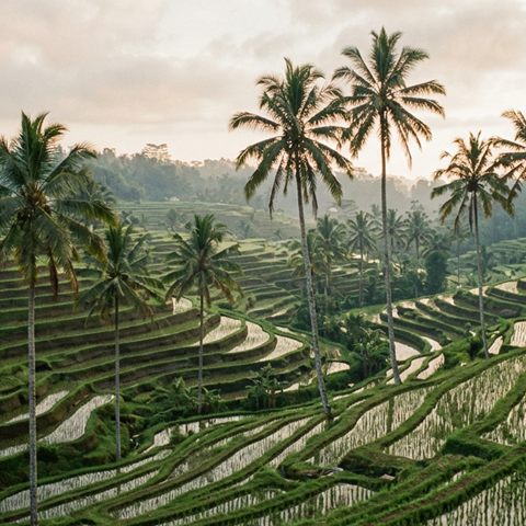 Bali